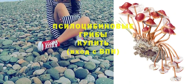 стаф Дмитров