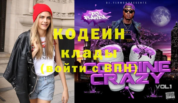 твердый Дмитровск