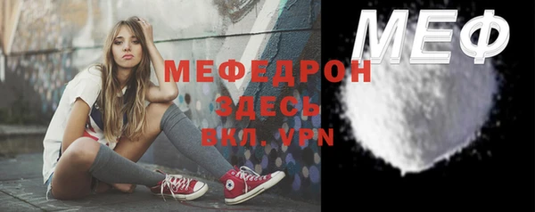 стаф Дмитров