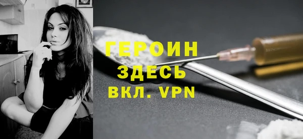 стаф Дмитров