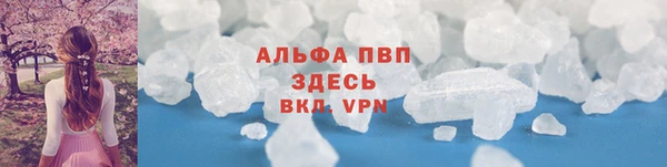 твердый Дмитровск