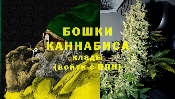 твердый Дмитровск