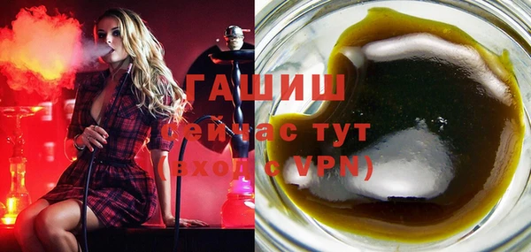 стаф Дмитров