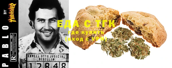 стаф Дмитров