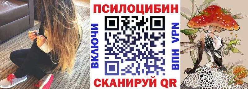 наркотики  Майский  Псилоцибиновые грибы Psilocybe 